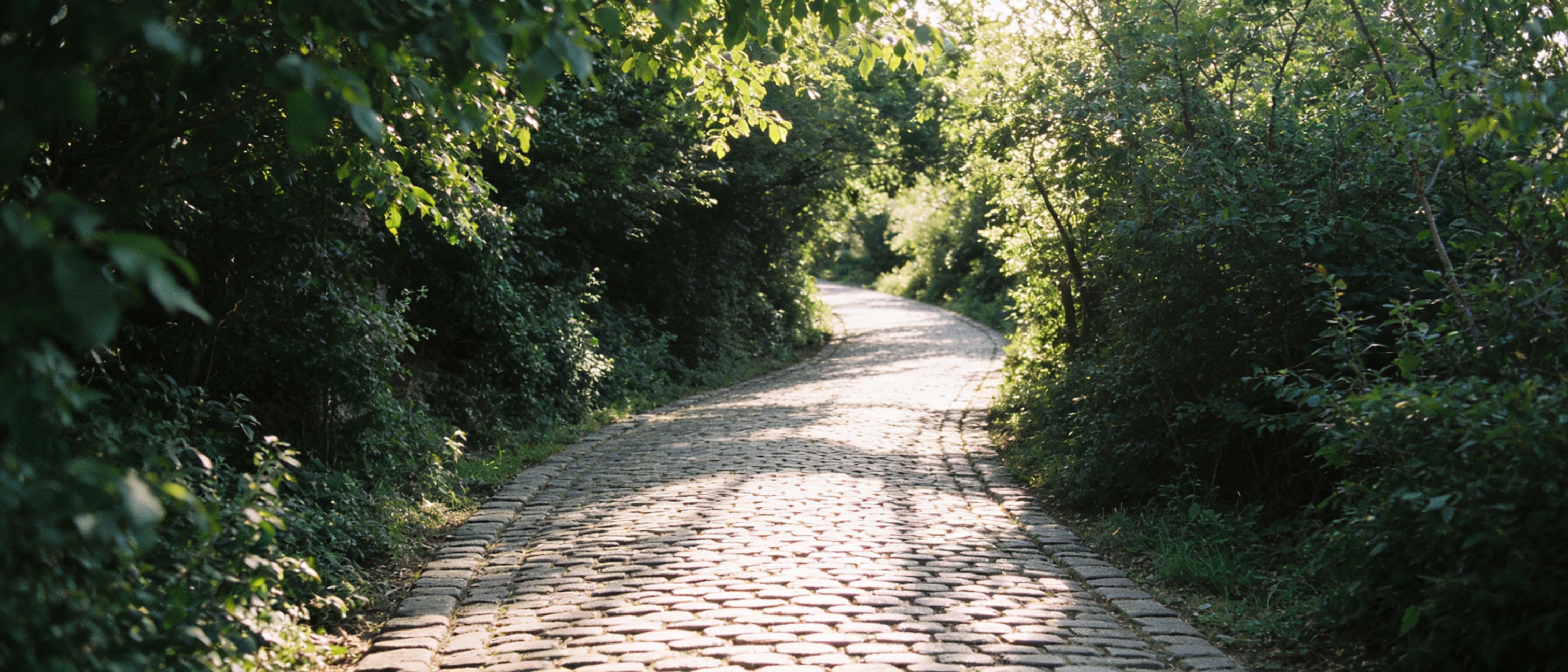 Forest path